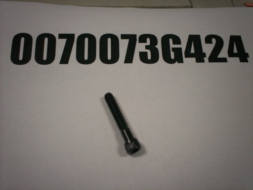 0070073G424