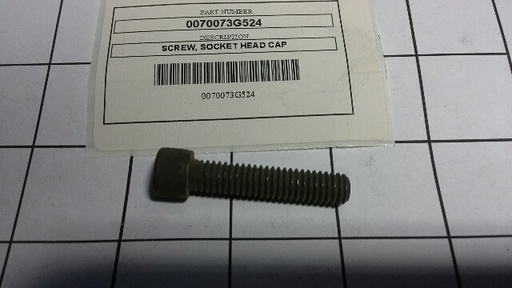 0070073G524