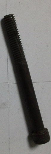 0070073G552