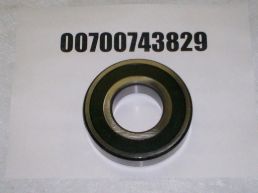 00700743829
