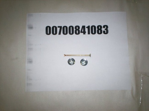 00700841083