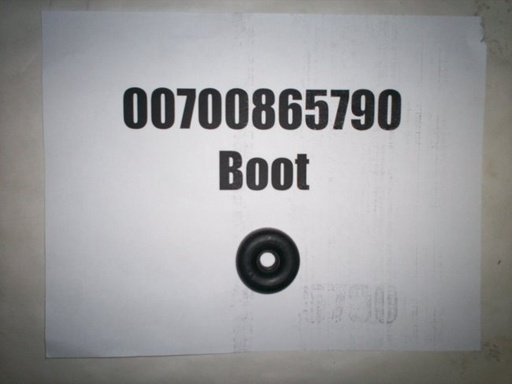 00700865790