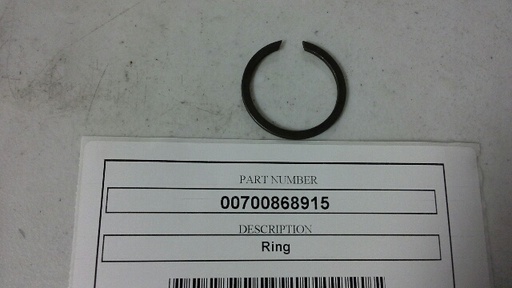00700868915