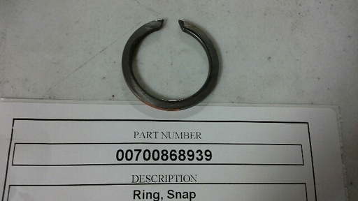 00700868939