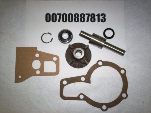 00700887813
