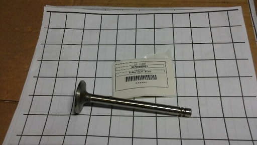 [INTAKE VALVE - D155G] 00700890931