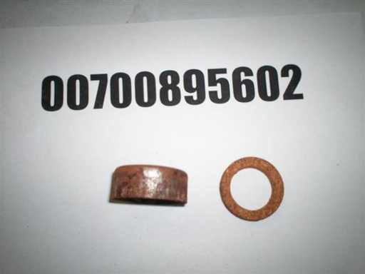 00700895602