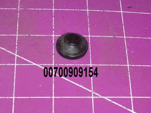 00700909154