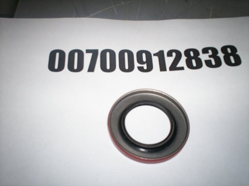 00700912838