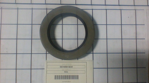 00700913839