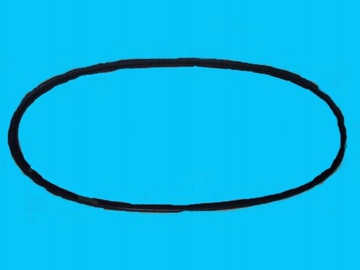 00700920231