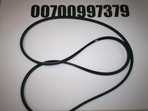 00700997379