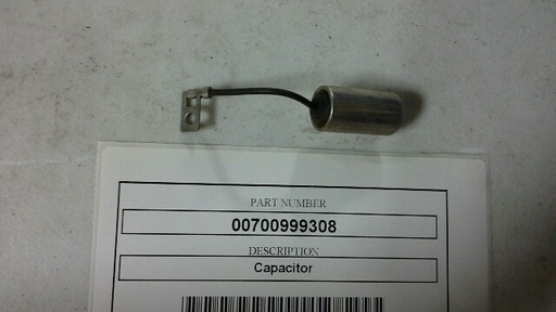 00700999308