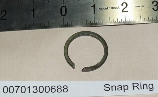00701300688