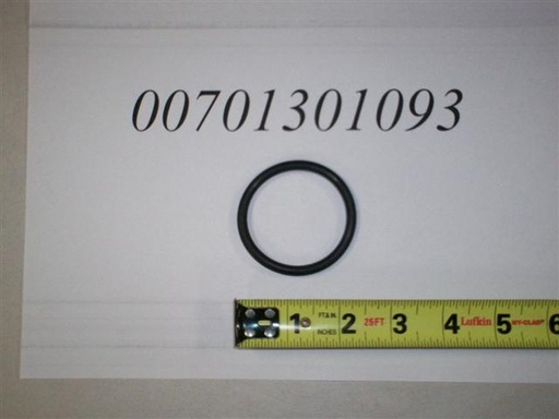 00701301093