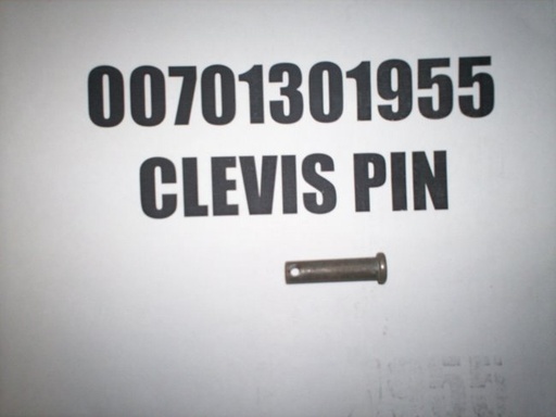 00701301955