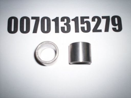 00701315279
