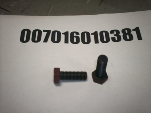 007016010381