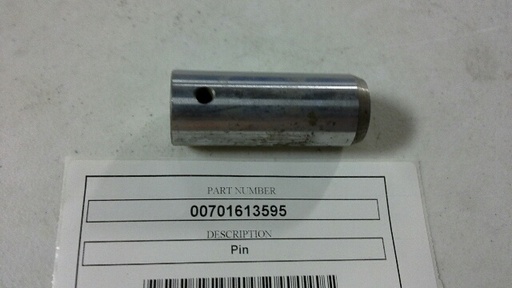 00701613595