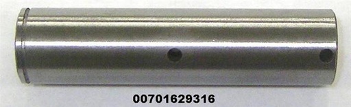 00701629316