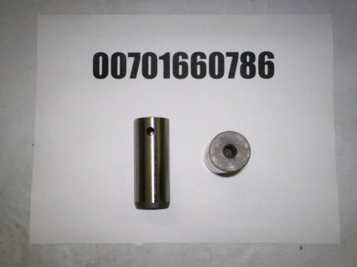 00701660786
