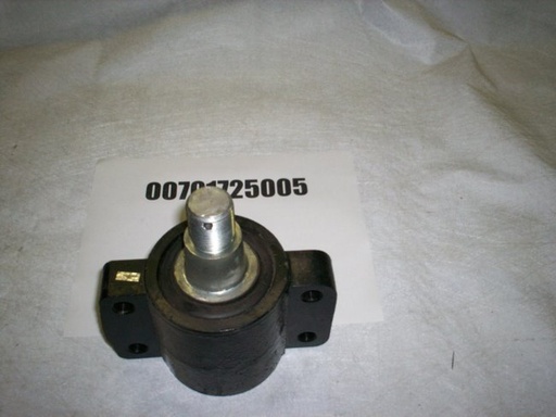 00701725005