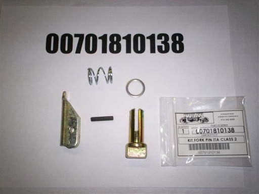 00701810138
