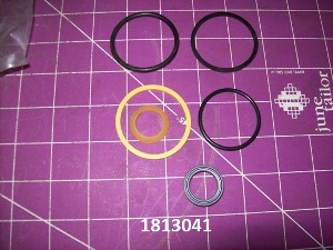 00701813041