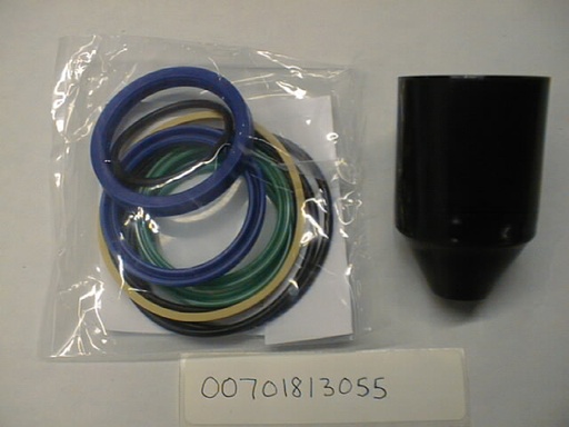 00701813055