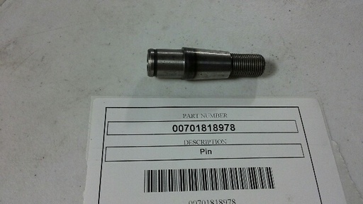 00701818978
