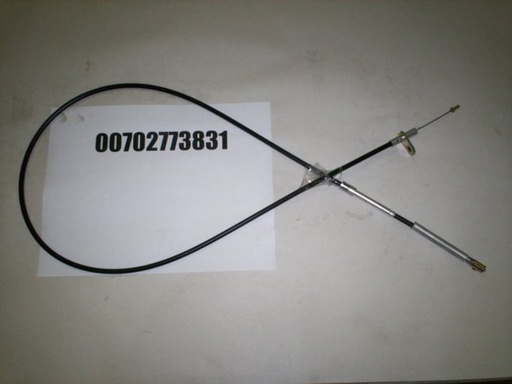 00702773831