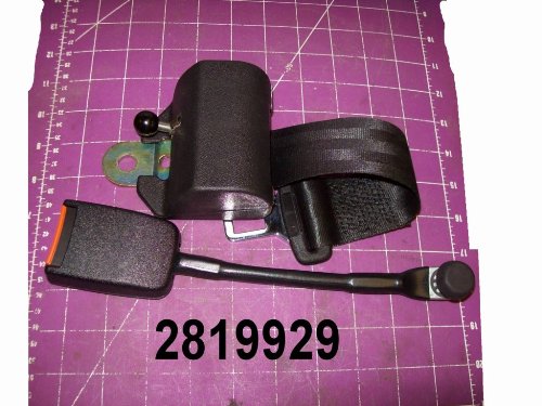 [Belt, Seat] 00702819929