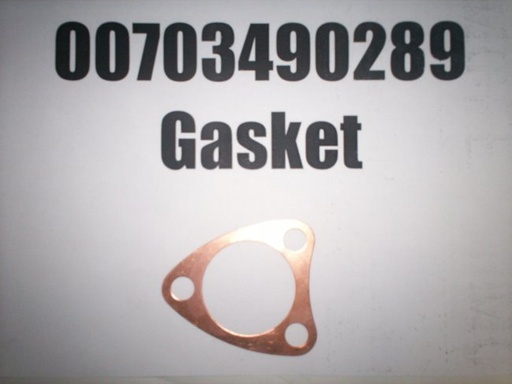 00703490289