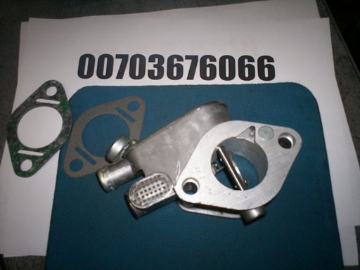 00703676066