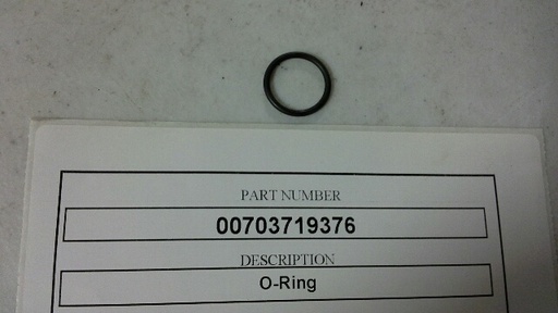 00703719376