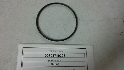 00703719395
