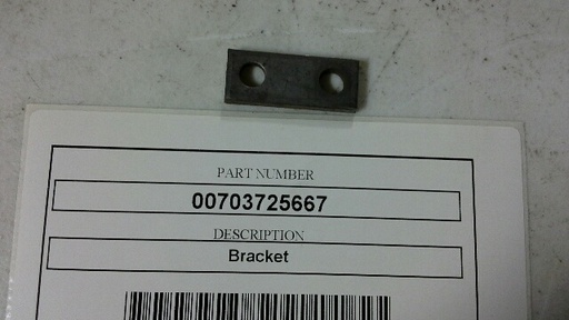 00703725667