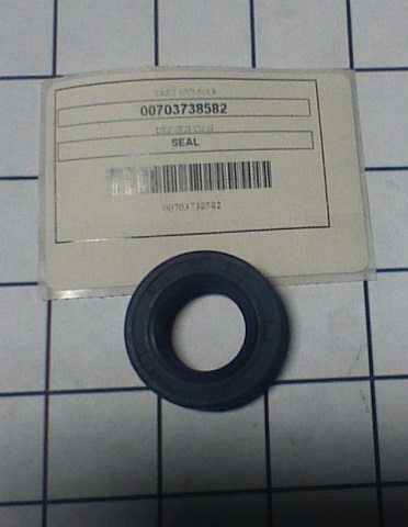 00703738582