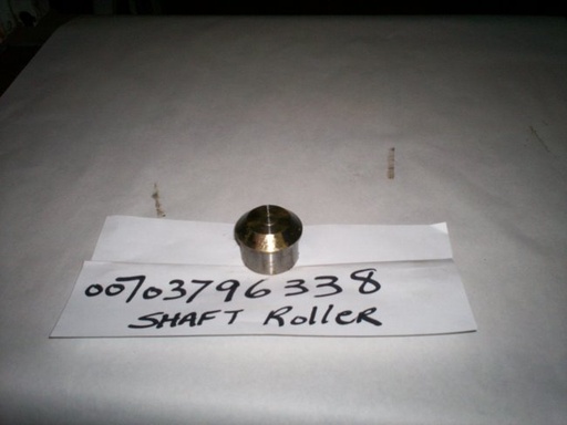 00703796338