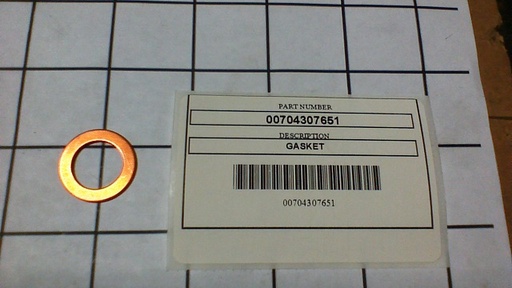 00704307651