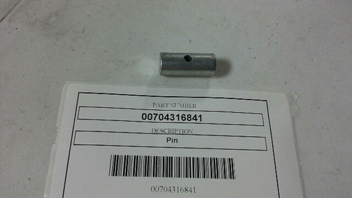 00704316841