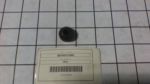 00706513095