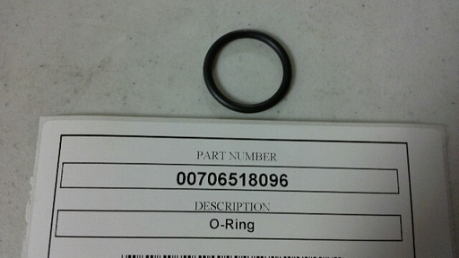 00706518096