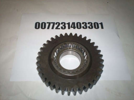 0077231403301