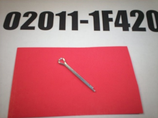 02011-1F420