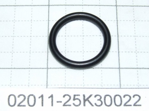 02011-25K30022