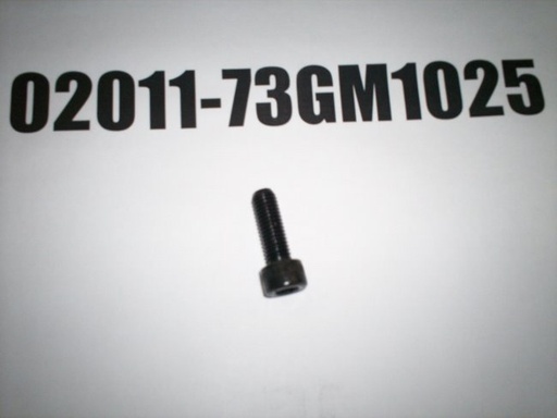 02011-73GM1025