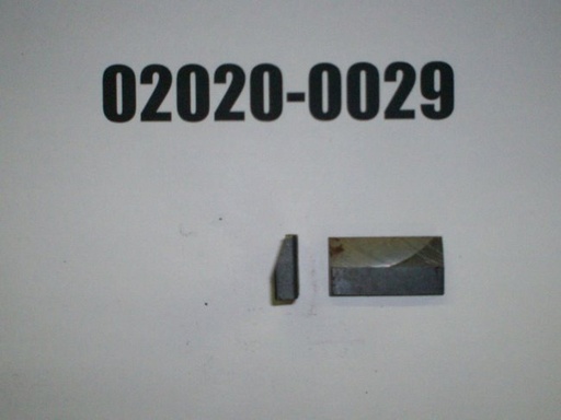 02020-0029