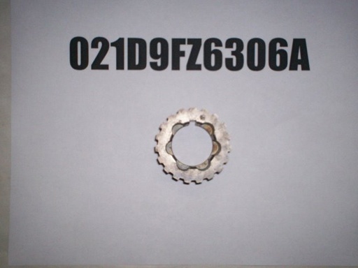 021D9FZ6306A
