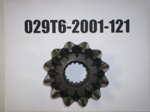 029T6-2001-121